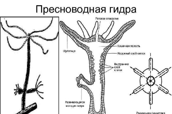 Кракен ссылка тор настоящая kraken6.at kraken7.at kraken8.at