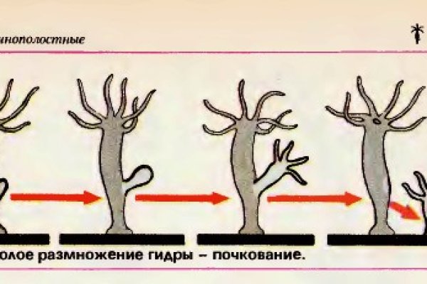 Мега в обход блокировки