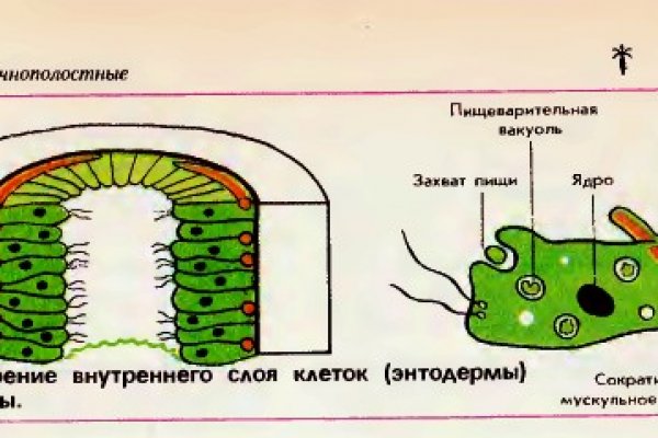 Как пополнить счет на блэкспрут с картой